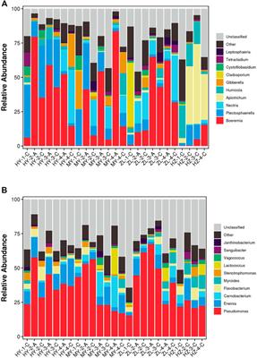 Comparative Analysis of Microbial Community Diversity and Dynamics on Diseased Tubers During Potato Storage in Different Regions of Qinghai China